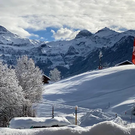 Bueehl * Lenk